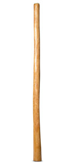 Gloss Finish Didgeridoo (TW1142)